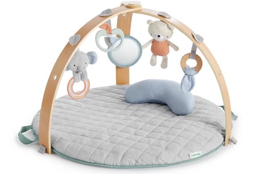 Ingenuity cozy spot reversible - cozy,