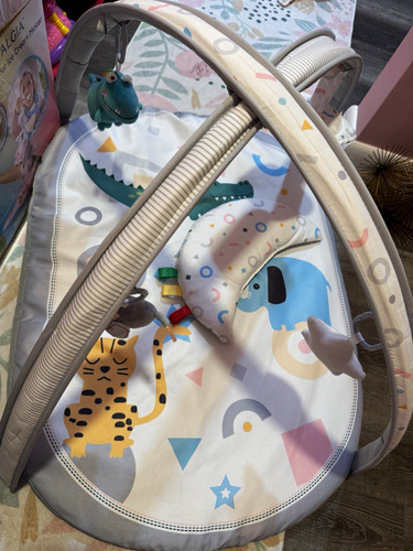 Infant play mat activity - play, gym