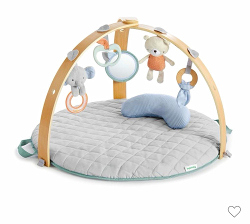Ingenuity round baby activity - round,