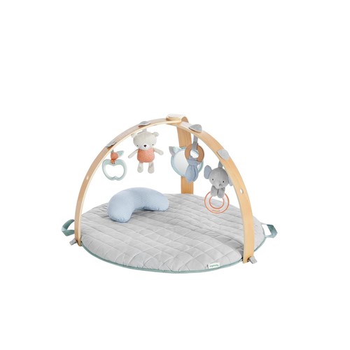 Ingenuity cozy spot reversible - spot,